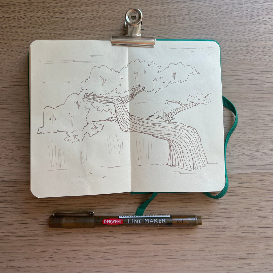 Page de la semaine 👩‍🎨#9
