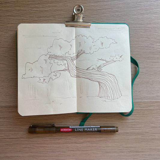 Page de la semaine 👩‍🎨#9