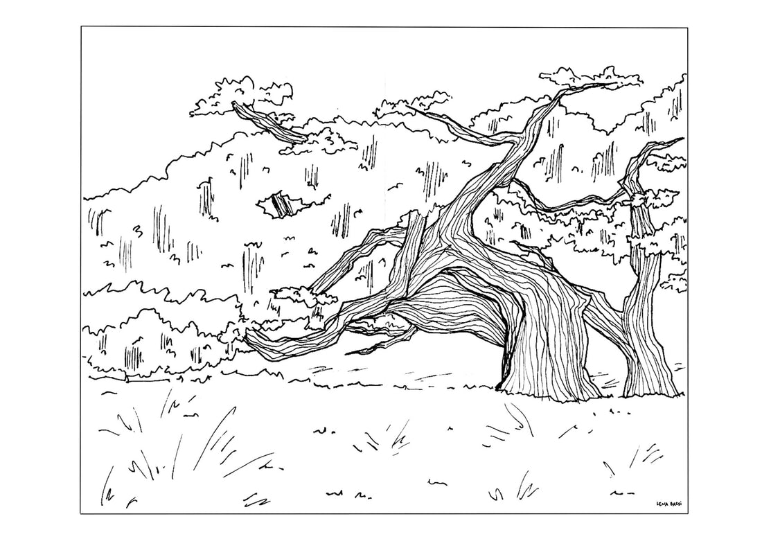 Coloriage du mois ✨ ( août )