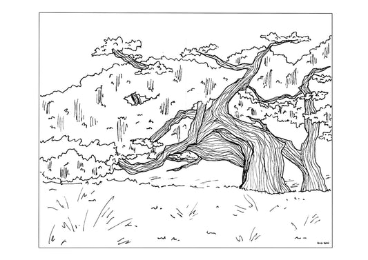 Coloriage du mois ✨ ( août )