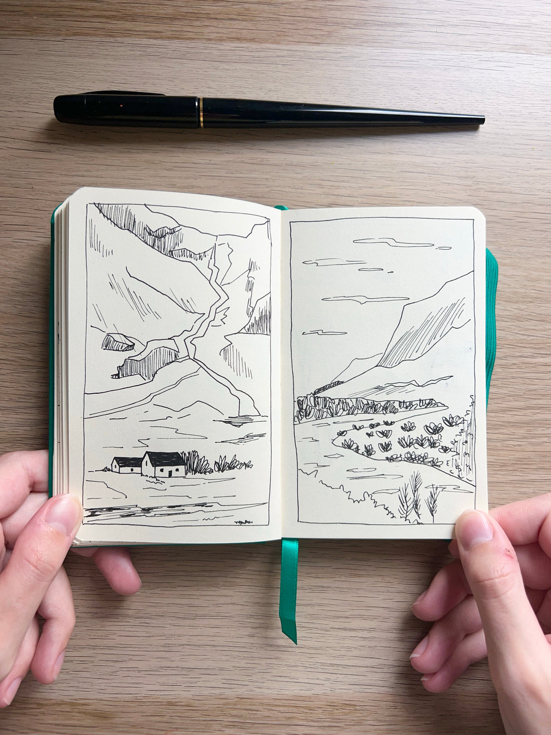 Pages de la semaine 🧑‍🎨 #5