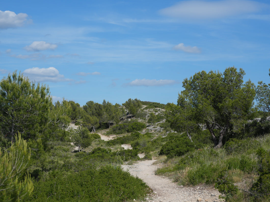 Références de Mai 🌳
