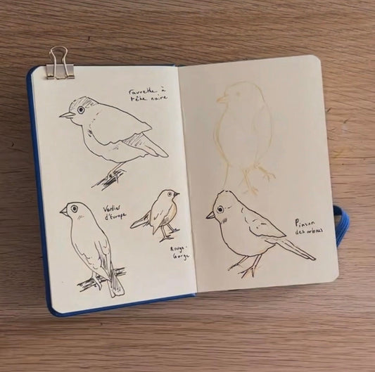 Draw with me ✨