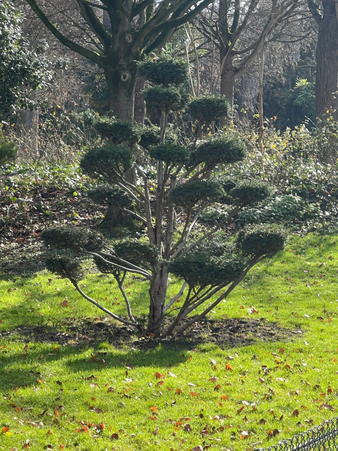 Références de Janvier 📸🌳