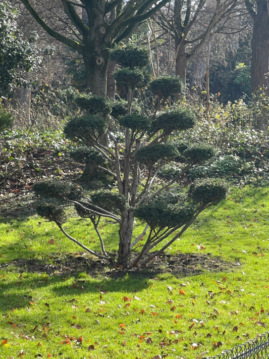 Références de Janvier 📸🌳