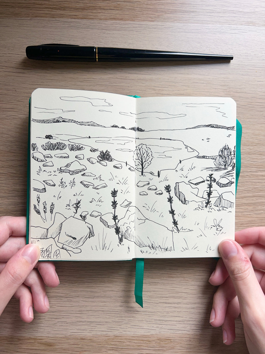 Pages de la semaine 🧑‍🎨 #2