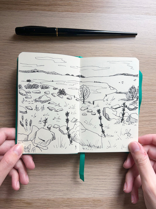 Pages de la semaine 🧑‍🎨 #2