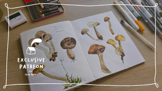 On dessine des champignons ensemble + avenir de la chaîne pour la rentrée !
